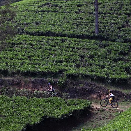 Heritance Tea Factory Nuwara Eliya Exterior foto