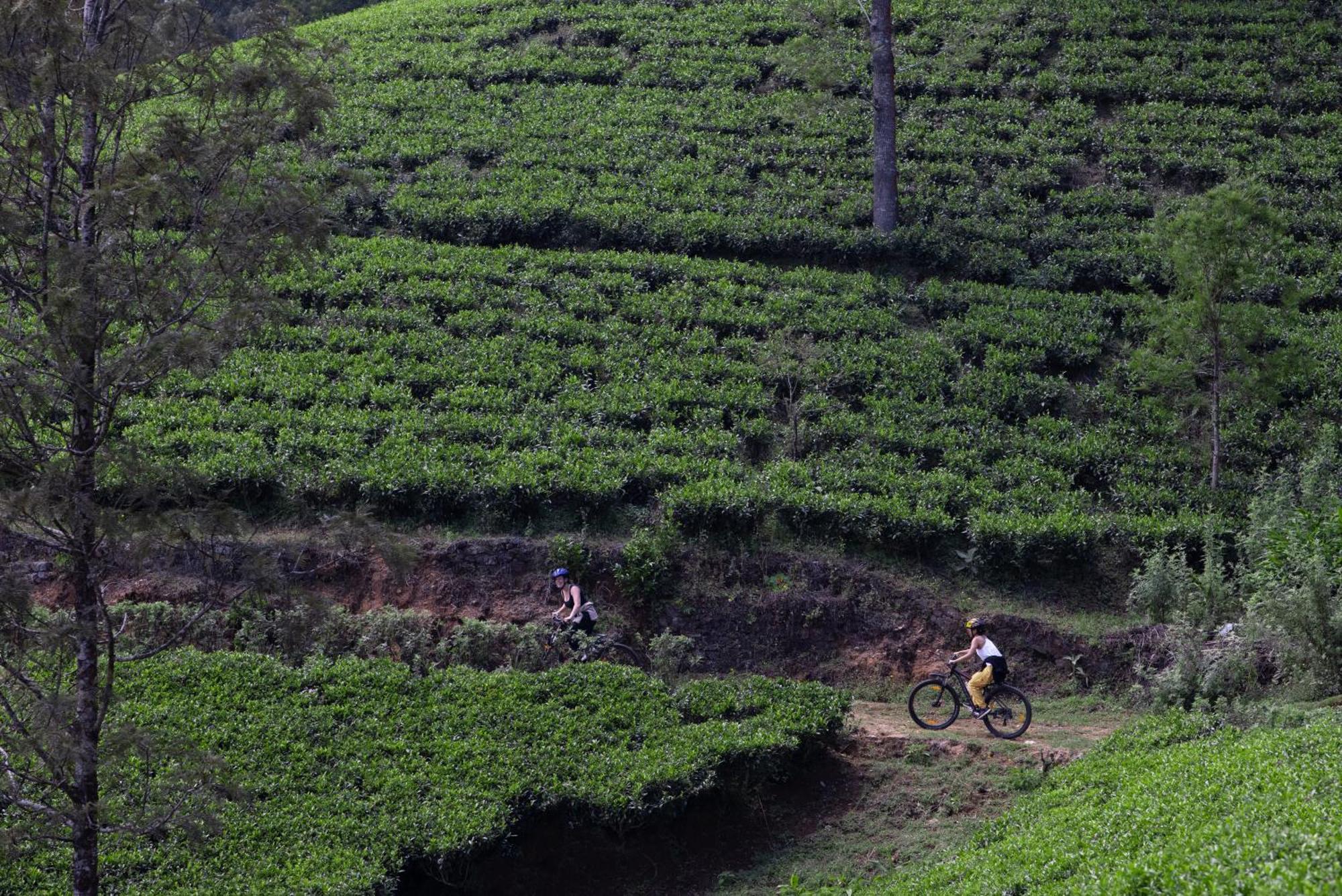 Heritance Tea Factory Nuwara Eliya Exterior foto